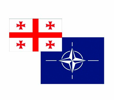 В Грузии открыта программа НАТО «Фонд доверия во имя мира»