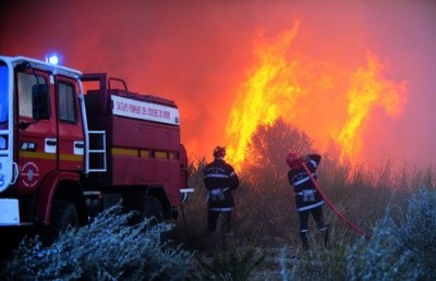 Виноградники балерины Нино Ананиашвили сгорели в Восточной Грузии