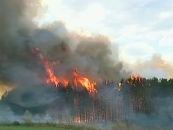 Пожар в Панкисском ущелье - горит 20 гектар леса