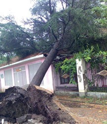 Ураган нанес урон Лагодехскому району Грузии