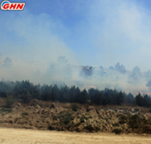В Восточной Грузии пожар уничтожил еще 10 гектар леса