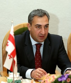 Премьер-министр Грузии: На Россию будут оказывать дипломатическое давление